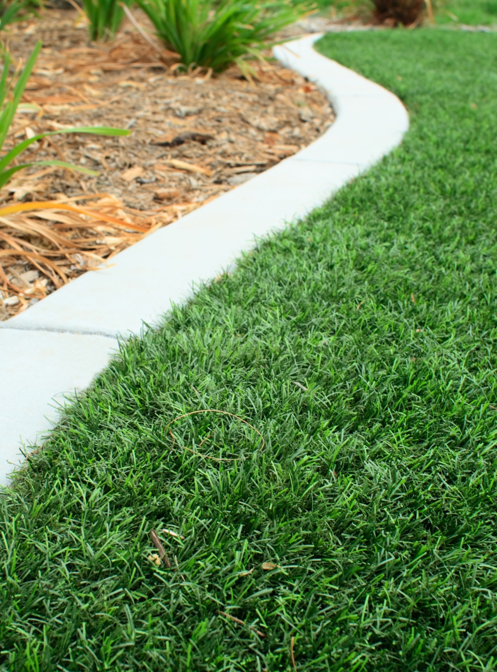 about us greenage landscaping services singapore