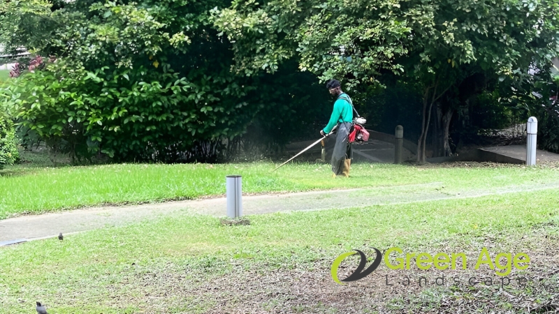 landscape-services-greenage-landscaping-services-singapore-1