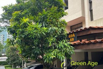 tree-trimming-greenage-landscaping-singapore