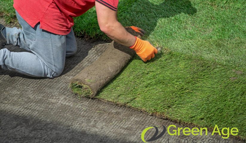 featured-5-reasons-you-should-not-opt-for-diy-landscaping-in-singapore-landscaping-greenage-landscaping-services-singapore