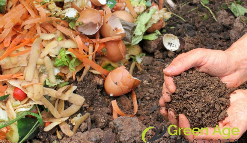 featured-6-benefits-of-composting-for-diy-garden-maintenance-in-singapore-garden-maintenance-greenage-landscaping-services-singapore