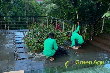 featured-image-garden-maintenance-greenage-landscaping-services-singapore