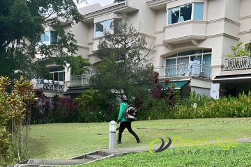 featured-image-grass-cutting-greenage-landscaping-services-singapore