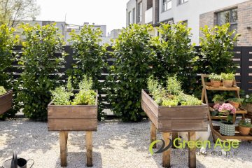 featured-image-horticulture-greenage-landscaping-services-singapore