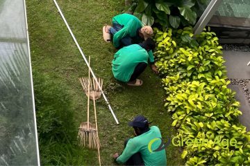 featured-image-landscaping-maintenance-singapore-greenage-landscaping-services-singapore