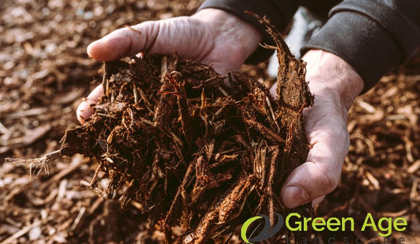 featured-image-organic-mulch-4-ways-to-ensure-sustainable-landscaping-in-singapore-landscaping-services-greenage-landscaping-services-singapore