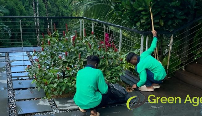 garden-maintenance-greenage-landscape-singapore-landed-serangoon-2_wm