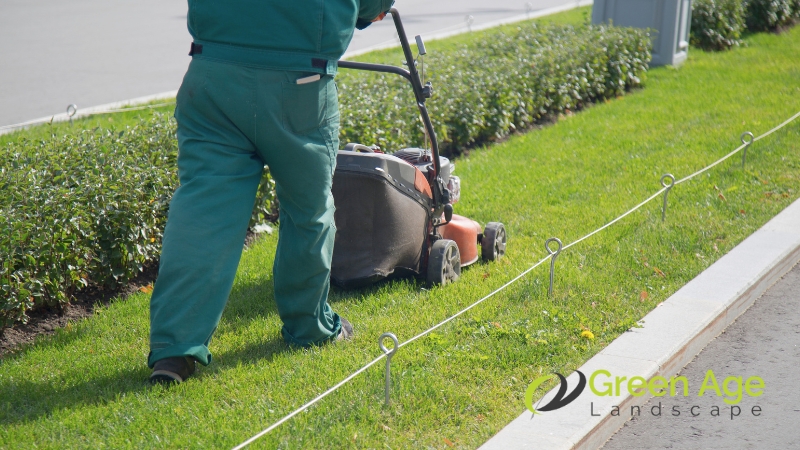 gardening-services-greenage-landscaping-s-singapore-1
