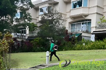 grass-cutting-greenage-landscape-singapore-landed-tampines-1