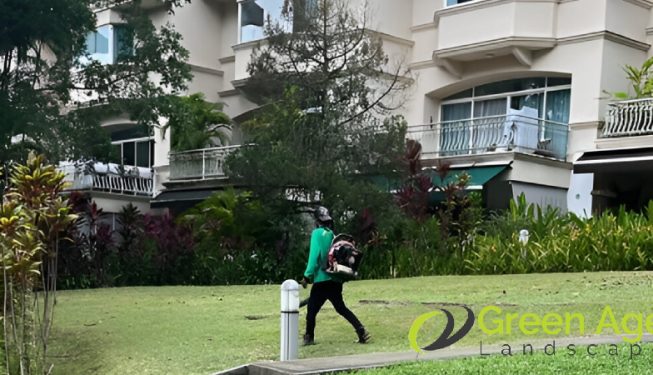grass-cutting-greenage-landscape-singapore-landed-tampines-2