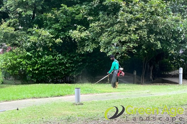 grass-cutting-greenage-landscaping-services-singapore-landed-holland-1