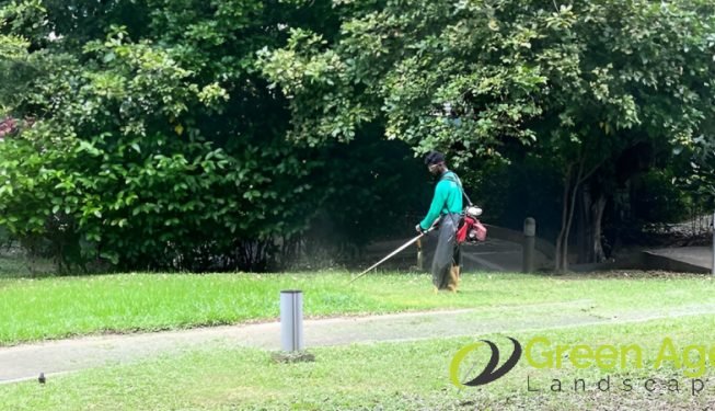 grass-cutting-greenage-landscaping-services-singapore-landed-holland-2