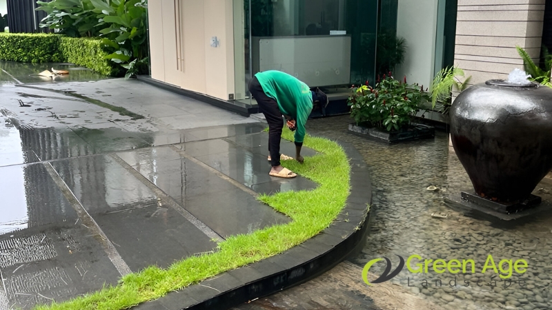 grass-planting-greenage-landscaping-services-singapore-2