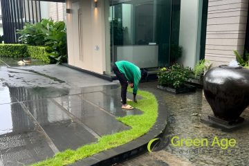 grass-planting-greenage-landscaping-services-singapore