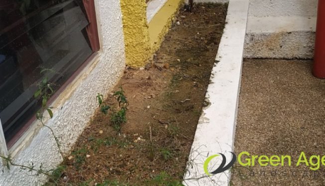 grass-planting-services-greenage-landscape-singapore-landed-river-valley-3