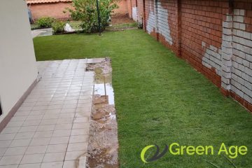 grass-planting-services-greenage-landscape-singapore-landed-tiong-bahru-1
