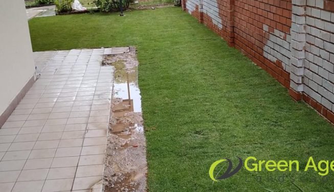 grass-planting-services-greenage-landscape-singapore-landed-tiong-bahru-2