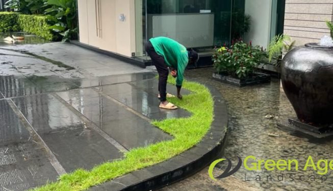 grass-planting-services-greenage-landscape-singapore-landed-tiong-bahru-3