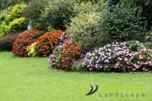 Importance of Engaging Landscape Maintenance Services For Your Property in Singapore 9 healthier-plants-importance-of-engaging-landscape-maintenance-services-for-your-property-in-singapore-landscape-maintenance-greenage-landscaping-services-singapore
