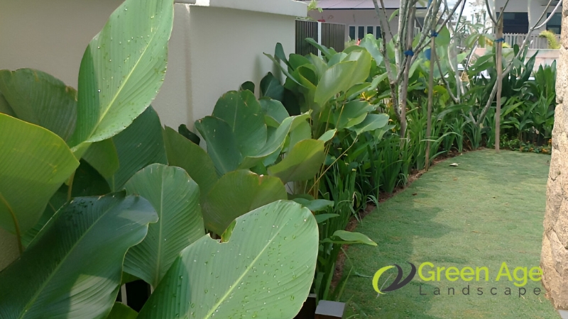 horticulture-greenage-landscaping-services-singapore-1