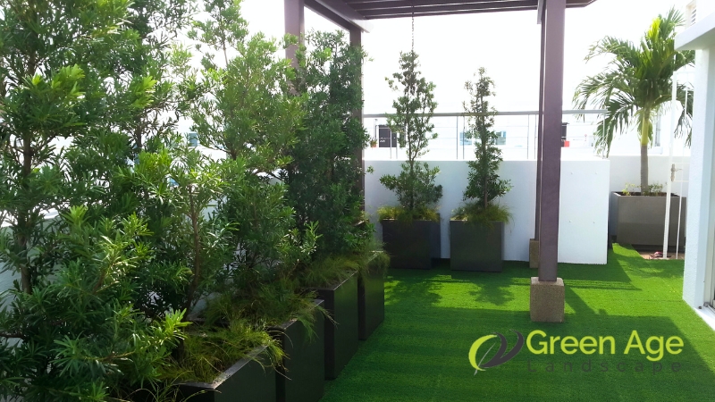 Horticulture 1 horticulture-greenage-landscaping-services-singapore-2
