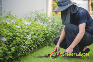 Pros and Cons: DIY Landscaping vs Professional Landscaping in Singapore 17 it-allows-you-more-personalization-pros-and-cons-diy-landscaping-vs-professional-landscaping-in-singapore-landscaping-greenage-landscaping-services-singapore
