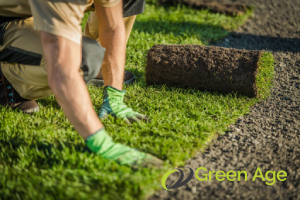 Pros and Cons: DIY Landscaping vs Professional Landscaping in Singapore 20 it-ensures-consistent-and-reliable-maintenance-pros-and-cons-diy-landscaping-vs-professional-landscaping-in-singapore-landscaping-greenage-landscaping-services-singapore