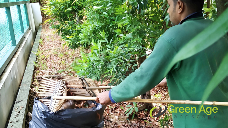 landscape-maintenance-greenage-landscaping-services-singapore-1-wm
