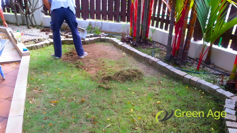 landscape-maintenance-greenage-landscaping-services-singapore-2