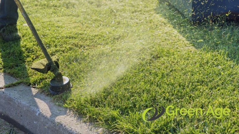 landscape-services-greenage-landscaping-services-singapore-3