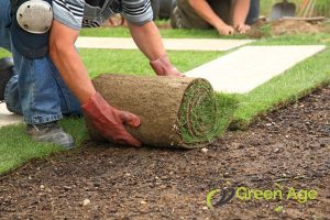 landscaping-projects-7-tips-for-choosing-professional-landscaping-services-greenage-landscaping-services-singapore
