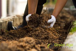 8 Ways To Ensure Sustainable Landscaping in Singapore 2 organic-fertilizers-4-ways-to-ensure-sustainable-landscaping-in-singapore-landscaping-services-greenage-landscaping-services-singapore