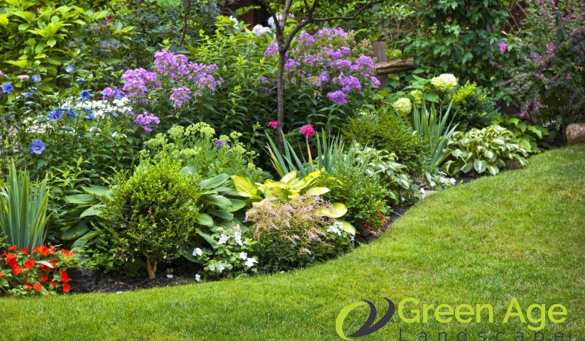 overcrowding-plant-7-common-diy-landscape-maintenance-mistakes-made-by-homeowners-landscape-maintenance-greenage-landscaping-services-singapore