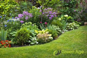 overcrowding-plants-7-common-diy-landscape-maintenance-mistakes-made-by-homeowners-in-singapore-landscape-maintenance-greenage-landscaping-services-singapore