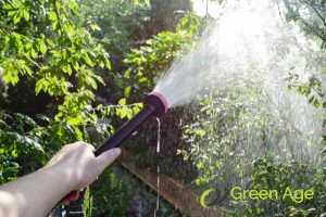 overwatering-7-common-diy-landscape-maintenance-mistakes-made-by-homeowners-in-singapore-landscape-maintenance-greenage-landscaping-services-singapore