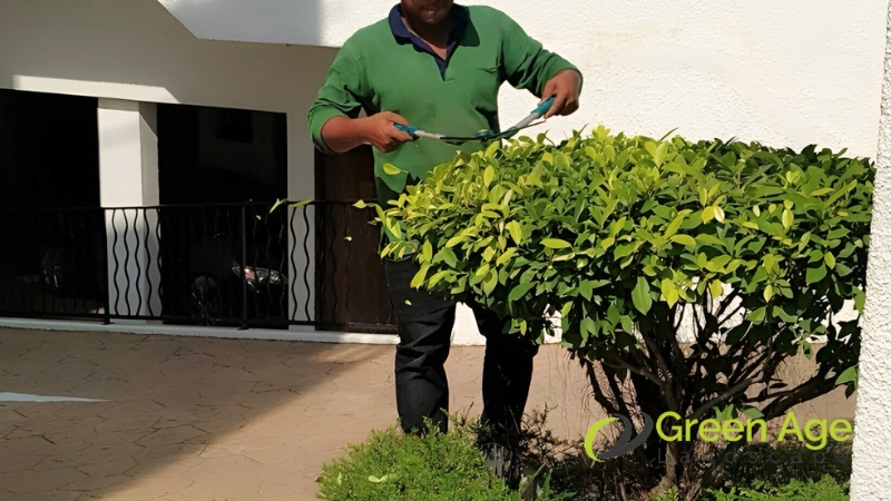Plant Pruning 1 plant-pruning-greenage-landscaping-services-singapore-1