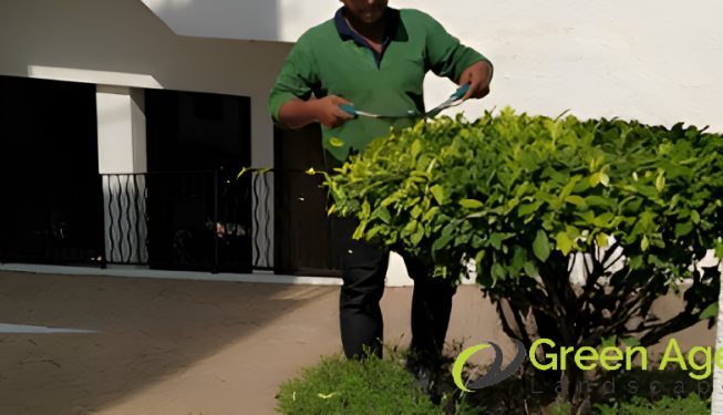 plant-pruning-services-greenage-landscape-singapore-landed-tanglin-2