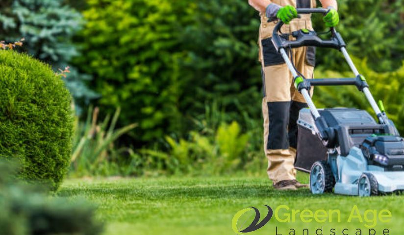 professional-landscaping-7-tips-for-choosing-professional-landscaping-services-greenage-landscaping-services-singapore