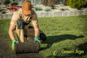 Pros and Cons: DIY Landscaping vs Professional Landscaping in Singapore 19 professional-landscaping-pros-and-cons-diy-landscaping-vs-professional-landscaping-in-singapore-landscaping-greenage-landscaping-services-singapore