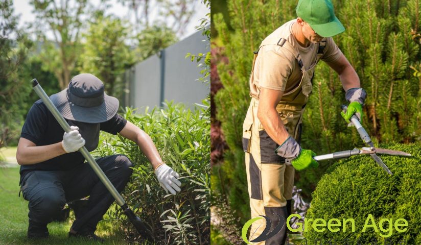 pros-and-cons-diy-landscaping-vs-professional-landscaping-in-singapore-landscaping-greenage-landscaping-services-singapore