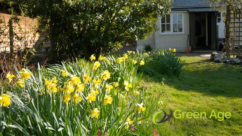 residential-landscape-maintenance-greenage-landscaping-services-2