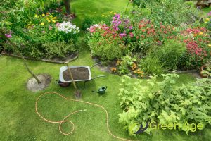 resilient-garden-6-benefits-of-composting-for-diy-garden-maintenance-in-singapore-garden-maintenance-greenage-landscaping-services-singapore