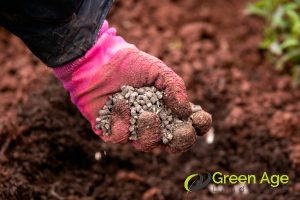 Why Should You Engage Professional Landscaping Services in Singapore? 6 sustainable-landscaping-why-should-you-engage-professional-landscaping-services-greenage-landscaping-services-singapore