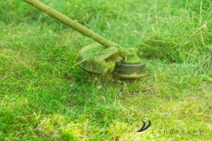 sustainable-practices-6-signs-of-reliable-professional-landscaping-services-greenage-landscaping-services-singapore