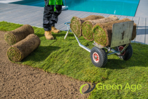Why Should You Engage Professional Landscaping Services in Singapore? 2 they-have-wide-expertise-and-experience-in-landscaping-why-should-you-engage-professional-landscaping-services-in-singapore-landscaping-greenage-landscaping-services-singapore