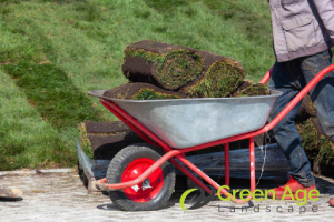 Why Should You Engage Professional Landscaping Services in Singapore? 4 they-provide-consistent-care-for-your-landscape-throughout-the-year-why-should-you-engage-professional-landscaping-services-in-singapore-landscaping-greenage-landscaping-services-singapore