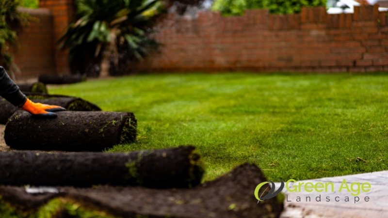 turf-grass-greenage-landscaping-services-singapore-2