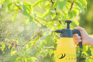 using-pesticides-unsafely-7-common-diy-landscape-maintenance-mistakes-made-by-homeowners-landscape-maintenance-greenage-landscaping-services-singapore