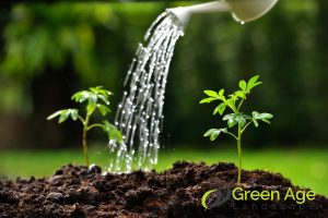 water-conservation-6-benefits-of-composting-for-diy-garden-maintenance-in-singapore-garden-maintenance-greenage-landscaping-services-singapore