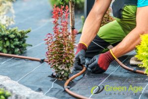 Why Should You Engage Professional Landscaping Services in Singapore? 5 water-management-why-should-you-engage-professional-landscaping-services-greenage-landscaping-services-singapore